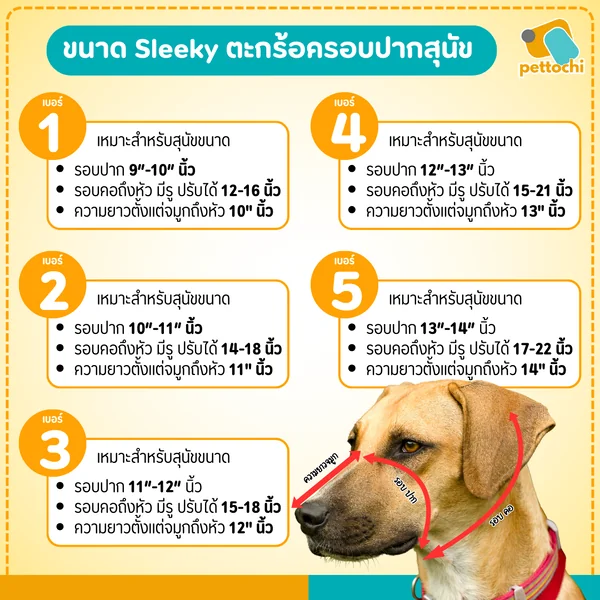 Sleeky สลิคกี้ ตะกร้อครอบปากสุนัข ที่ครอบปากสุนัข วัสดุหนังแท้ ปลอดภัย ทนแข็งแรง image 2 Sleeky สลิคกี้ ตะกร้อครอบปากสุนัข ที่ครอบปากสุนัข วัสดุหนังแท้ ปลอดภัย ทนแข็งแรง image 2