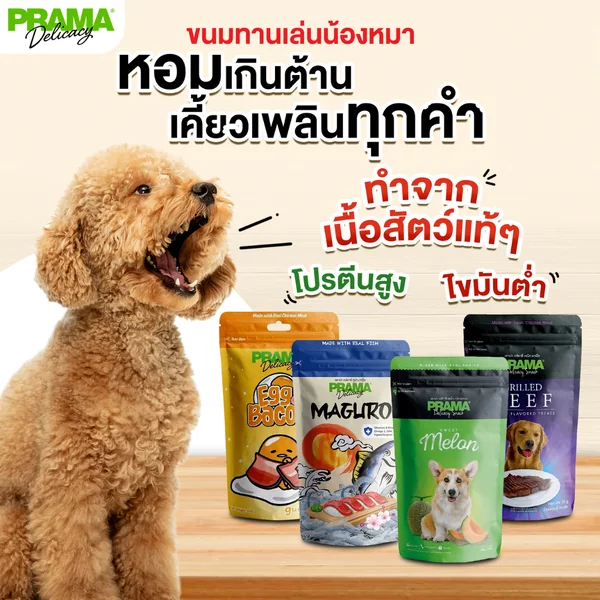 Prama พราม่า ขนมสุนัข Dog Snack ผลิตจากเนื้อไก่แท้ 50 - 70 กรัม ครบรส image 4 Prama พราม่า ขนมสุนัข Dog Snack ผลิตจากเนื้อไก่แท้ 50 - 70 กรัม ครบรส image 4