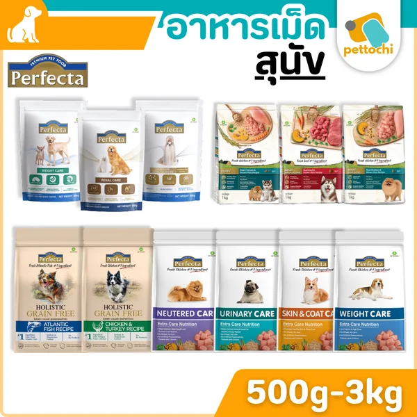 Perfecta Care/Holistic อาหารสุนัขโต 500-3 KG ครบสูตร ครบรสชาติ ทุกช่วงวัย image 2 Perfecta Care/Holistic อาหารสุนัขโต 500-3 KG ครบสูตร ครบรสชาติ ทุกช่วงวัย image 2