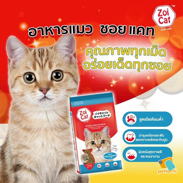 อาหารแมว ถุงแบ่งขายจากผู้ผลิต 1Kg สำหรับแมวโต 1 ปีขึ้นไปทุกสายพันธ์ Zoi Cat image 2 อาหารแมว ถุงแบ่งขายจากผู้ผลิต 1Kg สำหรับแมวโต 1 ปีขึ้นไปทุกสายพันธ์ Zoi Cat image 2