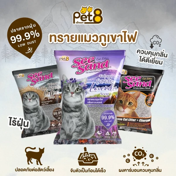PET8 Seesand ทรายแมวภูเขาไฟ ผสมชาโคล 10 ลิตร ไร้ฝุ่น จับตัวเป็นก้อน เก็บกลิ่นได้ดี image 2 PET8 Seesand ทรายแมวภูเขาไฟ ผสมชาโคล 10 ลิตร ไร้ฝุ่น จับตัวเป็นก้อน เก็บกลิ่นได้ดี image 2