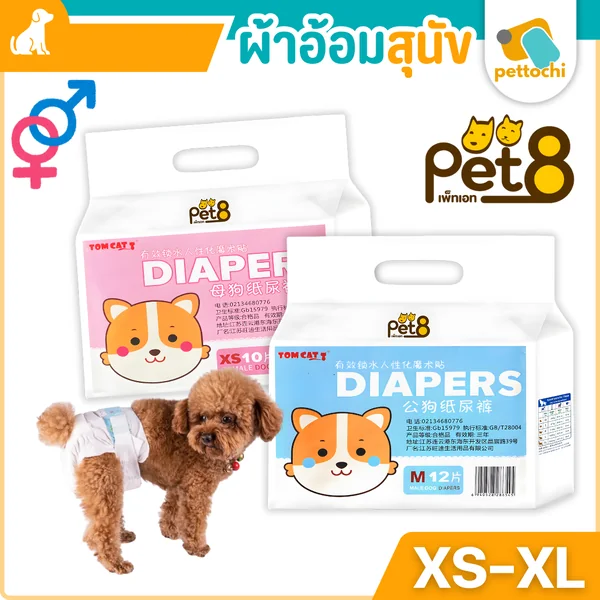 Pet8 Diapers แพมเพิส ผ้าอ้อมสุนัข โอบิ ผ้าอนามัยสุนัขเพศผู้ เพศเมีย ทุกสายพันธุ์ ครบทุกขนาด Pet8 Diapers แพมเพิส ผ้าอ้อมสุนัข โอบิ ผ้าอนามัยสุนัขเพศผู้ เพศเมีย ทุกสายพันธุ์ ครบทุกขนาด