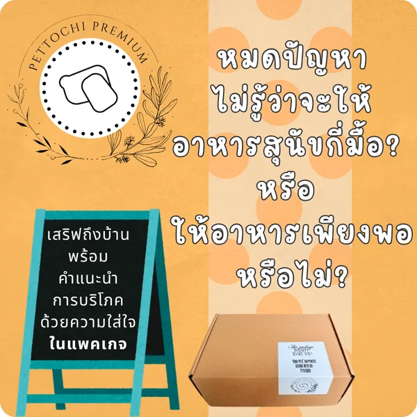 Pettochi Wellness Box DOG001 - เปิดตัวใหม่!!! แพคเกจอาหารสุนัขโตพันธุ์เล็ก ยังไม่ทำหมัน (Buzz-Prama-Regalos) image 7 Pettochi Wellness Box DOG001 - เปิดตัวใหม่!!! แพคเกจอาหารสุนัขโตพันธุ์เล็ก ยังไม่ทำหมัน (Buzz-Prama-Regalos) image 7
