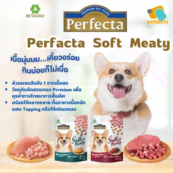 Perfecta Soft & Meaty เพอร์เฟคต้า ซอฟ แอนด์ มีทตี้ อาหารสุนัข เม็ดนิ่ม 500G-1Kg image 2 Perfecta Soft & Meaty เพอร์เฟคต้า ซอฟ แอนด์ มีทตี้ อาหารสุนัข เม็ดนิ่ม 500G-1Kg image 2
