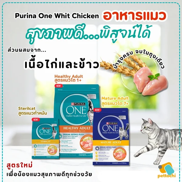 Purina One เพียวริน่า วัน อาหารแมวชนิดเม็ดเกรดพรีเมียม ขนาด 2.7Kg-6.6Kg image 5 Purina One เพียวริน่า วัน อาหารแมวชนิดเม็ดเกรดพรีเมียม ขนาด 2.7Kg-6.6Kg image 5