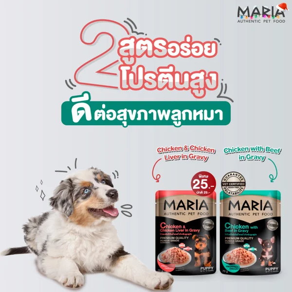 [ยกโหล]MARIA มาเรีย อาหารเปียกสุนัข เกรดพรีเมียม Grain Free โปรตีนสูง 70 กรัม image 2