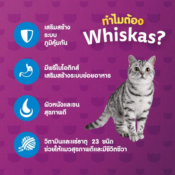 Whiskas Pouch วิสกัส เพาซ์ อาหารแมวโต ลูกแมว แมวแก่7+ ครบทุกรสชาติ ขนาด 80 กรัม image 5 Whiskas Pouch วิสกัส เพาซ์ อาหารแมวโต ลูกแมว แมวแก่7+ ครบทุกรสชาติ ขนาด 80 กรัม image 5