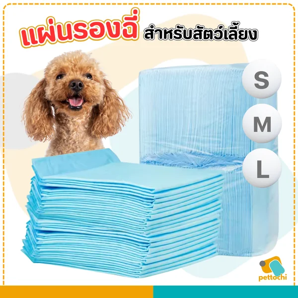 (ห่อใส)แผ่นรองฉี่สำหรับสัตว์เลี้ยง ผิวสัมผัสดี ซึมซับไว ดูดซึมเร็ว แผ่นรองซับ (ห่อใส)แผ่นรองฉี่สำหรับสัตว์เลี้ยง ผิวสัมผัสดี ซึมซับไว ดูดซึมเร็ว แผ่นรองซับ