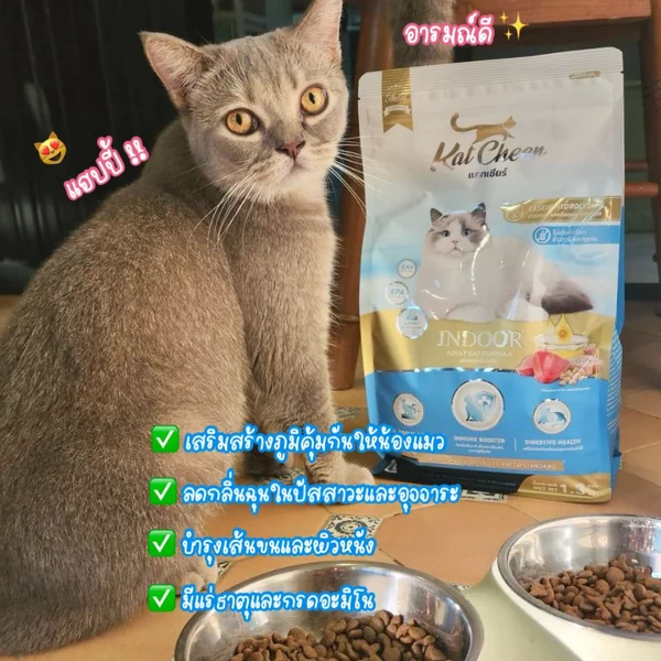 Kat Cheer อาหารแมวเกรดพรีเมี่ยม สูตรแมวเลี้ยงในบ้าน แม่และลูกแมว 380g-1.3kg image 2 Kat Cheer อาหารแมวเกรดพรีเมี่ยม สูตรแมวเลี้ยงในบ้าน แม่และลูกแมว 380g-1.3kg image 2