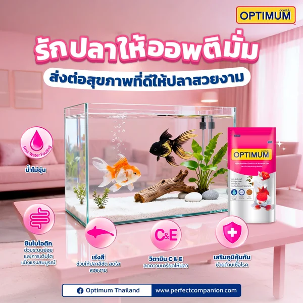 อาหารปลาสวยงาม Optimum Tropical Fish Baby Pellet ออฟติมั่ม 50-200 G image 2 อาหารปลาสวยงาม Optimum Tropical Fish Baby Pellet ออฟติมั่ม 50-200 G image 2