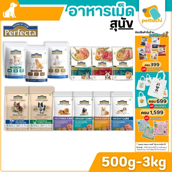 Perfecta Care/Holistic อาหารสุนัขโต 500-3 KG ครบสูตร ครบรสชาติ ทุกช่วงวัย Perfecta Care/Holistic อาหารสุนัขโต 500-3 KG ครบสูตร ครบรสชาติ ทุกช่วงวัย