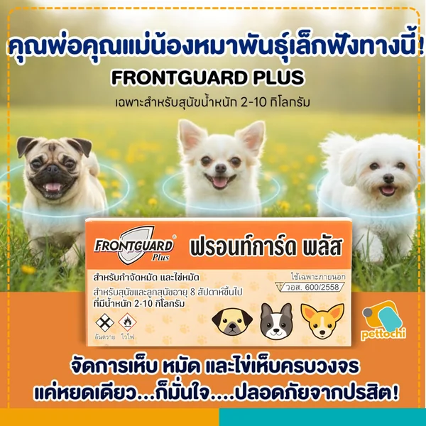 Frontguard & Frontguard Plus ฟรอนท์การ์ด หยดป้องกันเห็บหมัดสำหรับสุนัขและแมว image 4 Frontguard & Frontguard Plus ฟรอนท์การ์ด หยดป้องกันเห็บหมัดสำหรับสุนัขและแมว image 4