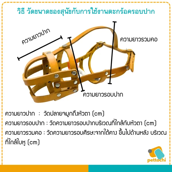 Sleeky สลิคกี้ ตะกร้อครอบปากสุนัข ที่ครอบปากสุนัข วัสดุหนังแท้ ปลอดภัย ทนแข็งแรง image 4 Sleeky สลิคกี้ ตะกร้อครอบปากสุนัข ที่ครอบปากสุนัข วัสดุหนังแท้ ปลอดภัย ทนแข็งแรง image 4