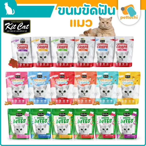 Kit Cat คิทแคท ขนมแมวขัดฟัน อร่อย มีประโยชน์ เคี้ยวเพลิน 60 กรัม Kit Cat คิทแคท ขนมแมวขัดฟัน อร่อย มีประโยชน์ เคี้ยวเพลิน 60 กรัม