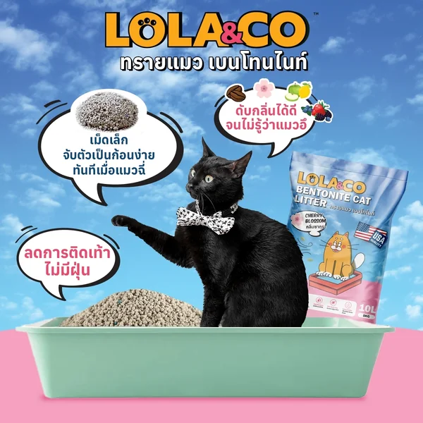 Lola&Co โลล่าแอนด์โค ทรายแมวเต้าหู้ ทรายแมวเบนโทไนท์ จับตัวไว กำจัดกลิ่น ไร้ฝุ่น image 3 Lola&Co โลล่าแอนด์โค ทรายแมวเต้าหู้ ทรายแมวเบนโทไนท์ จับตัวไว กำจัดกลิ่น ไร้ฝุ่น image 3