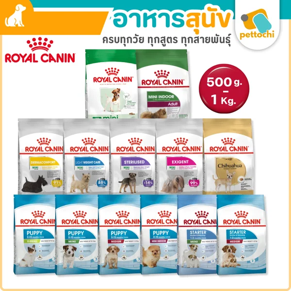 Royal Canin รอยัลคานิน อาหารเม็ดสุนัขทุกวัย เกรดพรีเมียม ทุกสูตร ขนาด 500g-1Kg Royal Canin รอยัลคานิน อาหารเม็ดสุนัขทุกวัย เกรดพรีเมียม ทุกสูตร ขนาด 500g-1Kg