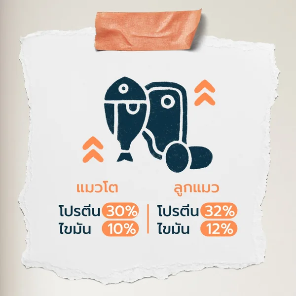 Buzz Beyond บัซซ์ บียอนด์ อาหารแมวเกรดพรีเมี่ยม ขนาด 7Kg image 6 Buzz Beyond บัซซ์ บียอนด์ อาหารแมวเกรดพรีเมี่ยม ขนาด 7Kg image 6