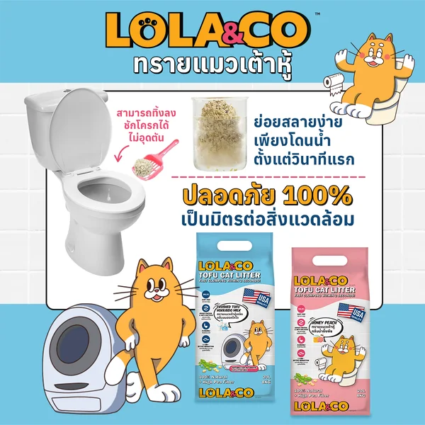 Lola&Co โลล่าแอนด์โค ทรายแมวเต้าหู้ ทรายแมวเบนโทไนท์ จับตัวไว กำจัดกลิ่น ไร้ฝุ่น image 9 Lola&Co โลล่าแอนด์โค ทรายแมวเต้าหู้ ทรายแมวเบนโทไนท์ จับตัวไว กำจัดกลิ่น ไร้ฝุ่น image 9