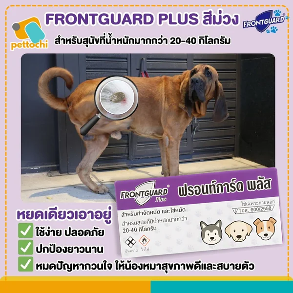 Frontguard & Frontguard Plus ฟรอนท์การ์ด หยดป้องกันเห็บหมัดสำหรับสุนัขและแมว image 7 Frontguard & Frontguard Plus ฟรอนท์การ์ด หยดป้องกันเห็บหมัดสำหรับสุนัขและแมว image 7