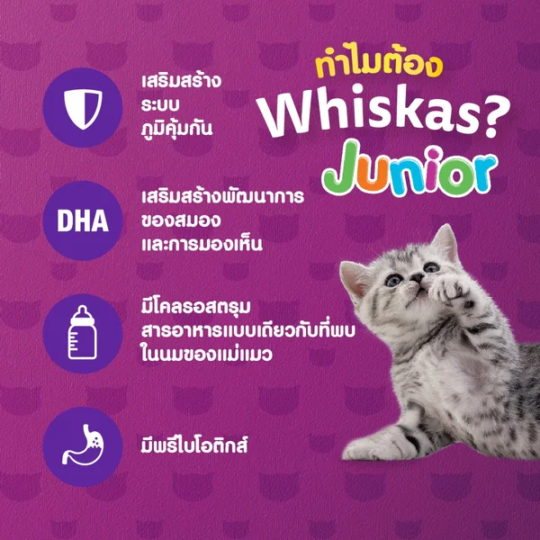 Whiskas Pouch วิสกัส เพาซ์ อาหารแมวโต ลูกแมว แมวแก่7+ ครบทุกรสชาติ ขนาด 80 กรัม image 6 Whiskas Pouch วิสกัส เพาซ์ อาหารแมวโต ลูกแมว แมวแก่7+ ครบทุกรสชาติ ขนาด 80 กรัม image 6