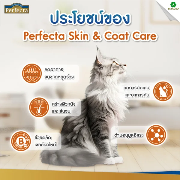 Perfecta Holistic อาหารแมวเกรดพรีเมียม Human Grade ครบทุกสูตร 2.5G-3Kg image 2 Perfecta Holistic อาหารแมวเกรดพรีเมียม Human Grade ครบทุกสูตร 2.5G-3Kg image 2