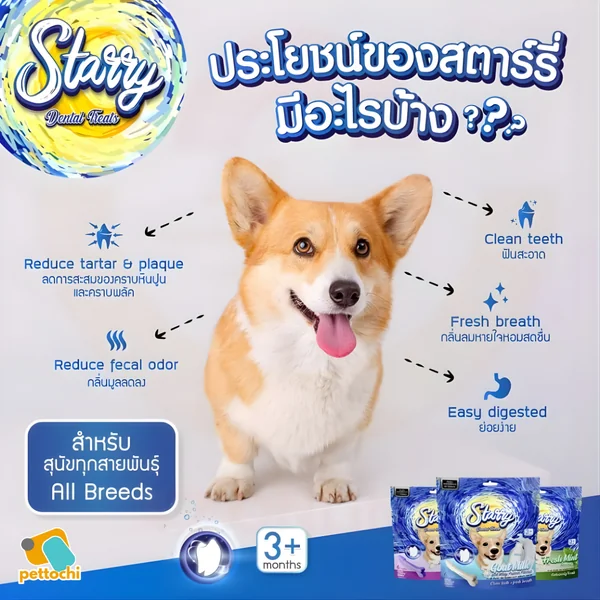 Starry Dental Tuaty ขนมขัดฟันสุนัข 1 ซอง (6 ชิ้น) 168 G image 2 Starry Dental Tuaty ขนมขัดฟันสุนัข 1 ซอง (6 ชิ้น) 168 G image 2