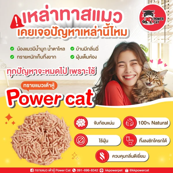 Power Cat ทรายแมวเต้าหู้100% ORGANIC จับเป็นก้อน ไร้ฝุ่น ควบคุมกลิ่น 6,10,20ลิตร image 2 Power Cat ทรายแมวเต้าหู้100% ORGANIC จับเป็นก้อน ไร้ฝุ่น ควบคุมกลิ่น 6,10,20ลิตร image 2