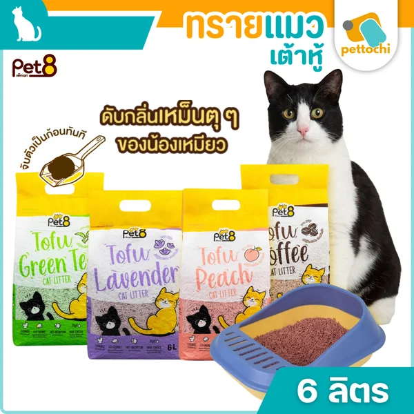 PET8 Tofu ทรายแมวเต้าหู้ เกรดพรีเมี่ยม ผลิตจากไฟเบอร์ถั่วลันเตา ไร้ฝุ่น เก็บกลิ่นได้ดี 6 ลิตร PET8 Tofu ทรายแมวเต้าหู้ เกรดพรีเมี่ยม ผลิตจากไฟเบอร์ถั่วลันเตา ไร้ฝุ่น เก็บกลิ่นได้ดี 6 ลิตร
