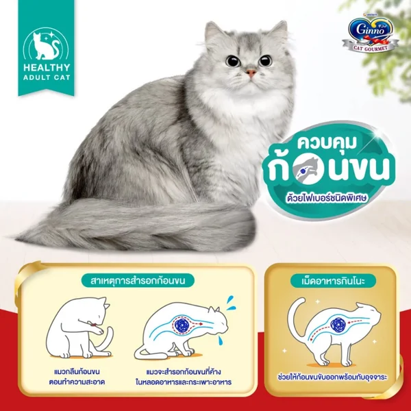 Ginno กินโนะ อาหารแมวโต 360g-380g สารอาหารครบถ้วน บำรุงขนให้นุ่มสวย ไม่เค็ม image 7 Ginno กินโนะ อาหารแมวโต 360g-380g สารอาหารครบถ้วน บำรุงขนให้นุ่มสวย ไม่เค็ม image 7