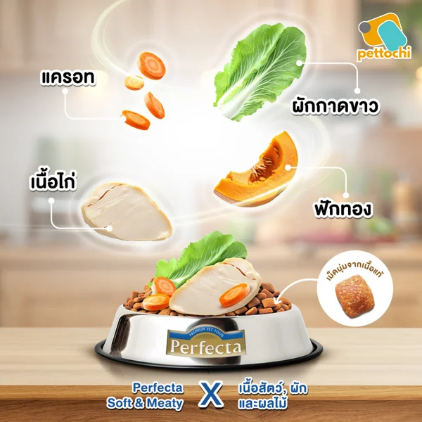 Perfecta Soft & Meaty เพอร์เฟคต้า ซอฟ แอนด์ มีทตี้ อาหารสุนัข เม็ดนิ่ม 500G-1Kg image 7 Perfecta Soft & Meaty เพอร์เฟคต้า ซอฟ แอนด์ มีทตี้ อาหารสุนัข เม็ดนิ่ม 500G-1Kg image 7