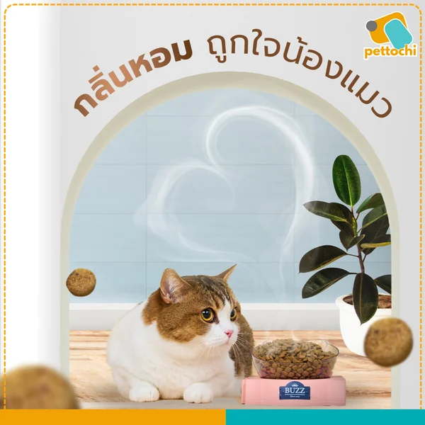 Buzz Beyond บัซซ์ บียอนด์ อาหารแมวเกรดพรีเมี่ยม ขนาด 7Kg image 7 Buzz Beyond บัซซ์ บียอนด์ อาหารแมวเกรดพรีเมี่ยม ขนาด 7Kg image 7