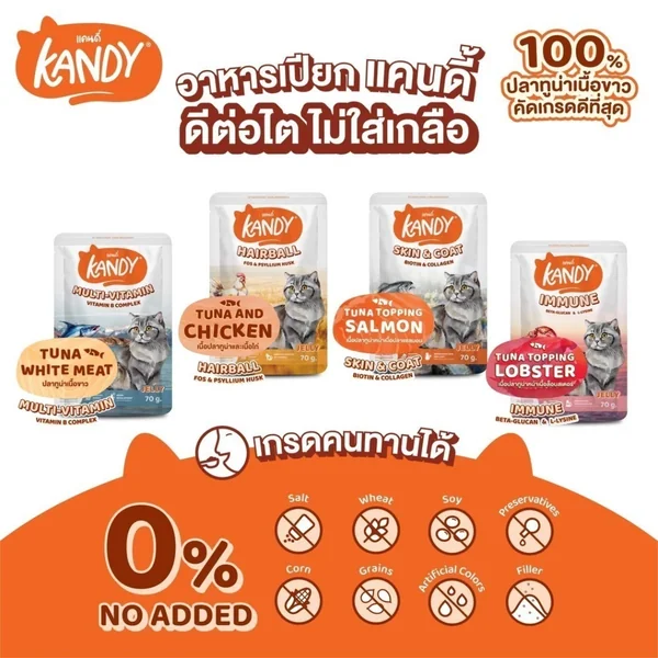 [ยกโหล] Kandy แคนดี้ อาหารแมวเปียก 70g เกรดพรีเมียม กลิ่นหอม สำหรับแมวทานยาก image 2