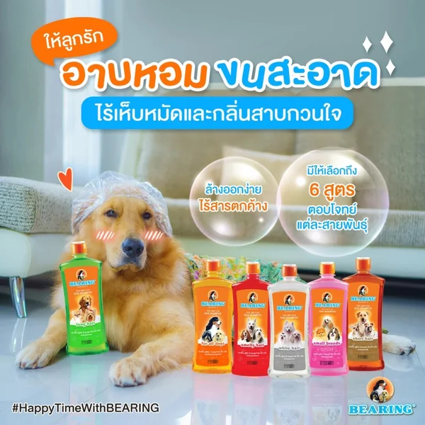 BEARING แชมพูกำจัดเห็บหมัดสุนัข แชมพูอาบน้ำสุนัข ขจัดกลิ่นสาบ ป้องกันเห็บ หมัด ครบสูตร ขนาด 150-600ml image 8 BEARING แชมพูกำจัดเห็บหมัดสุนัข แชมพูอาบน้ำสุนัข ขจัดกลิ่นสาบ ป้องกันเห็บ หมัด ครบสูตร ขนาด 150-600ml image 8