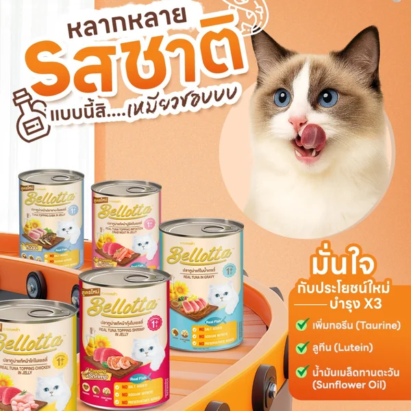Bellotta อาหารเปียกแมวสูตร 3 No แบบกระป๋อง ปลาทูน่าแท้ ในเยลลี่ 370-400g image 2 Bellotta อาหารเปียกแมวสูตร 3 No แบบกระป๋อง ปลาทูน่าแท้ ในเยลลี่ 370-400g image 2