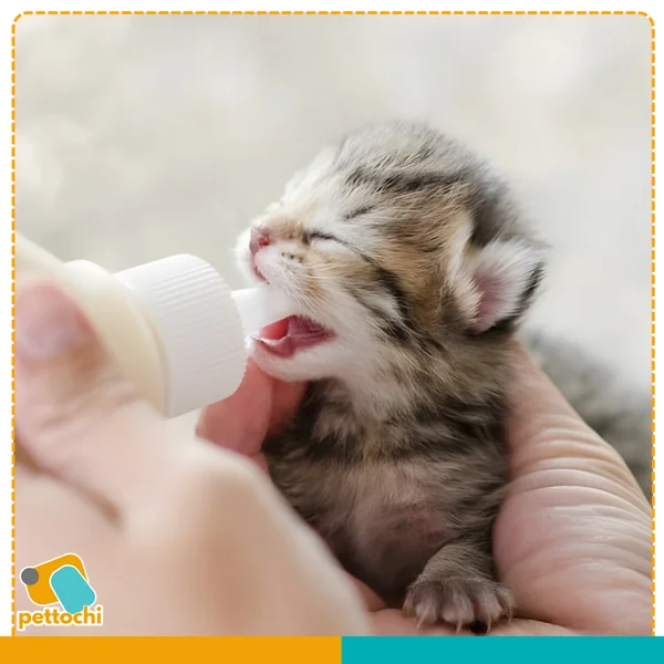ขวดนมสัตว์เลี้ยงสำหรับป้อนนมลูกแมว ลูกสุนัข และสัตว์เลี้ยงขนาดเล็ก image 2 ขวดนมสัตว์เลี้ยงสำหรับป้อนนมลูกแมว ลูกสุนัข และสัตว์เลี้ยงขนาดเล็ก image 2
