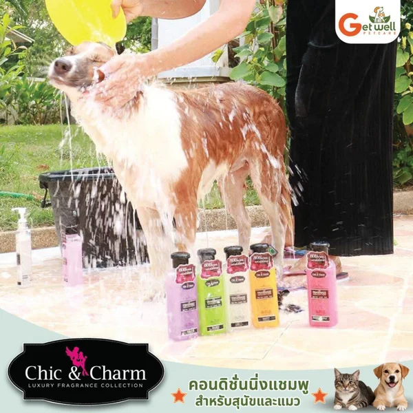 Chic&Charm Conditioning Shampoo แชมพูผสมครีมนวด แชมพูสุนัข แชมพูแมว 250Ml image 2 Chic&Charm Conditioning Shampoo แชมพูผสมครีมนวด แชมพูสุนัข แชมพูแมว 250Ml image 2