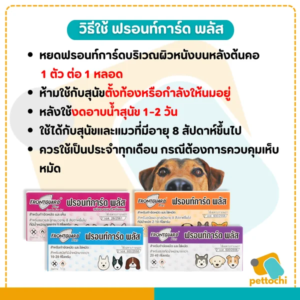 Frontguard & Frontguard Plus ฟรอนท์การ์ด หยดป้องกันเห็บหมัดสำหรับสุนัขและแมว image 2 Frontguard & Frontguard Plus ฟรอนท์การ์ด หยดป้องกันเห็บหมัดสำหรับสุนัขและแมว image 2