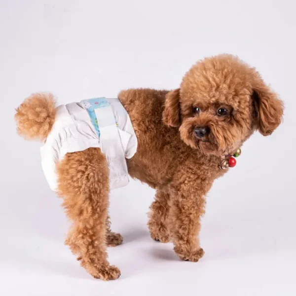 Pet8 Diapers แพมเพิส ผ้าอ้อมสุนัข โอบิ ผ้าอนามัยสุนัขเพศผู้ เพศเมีย ทุกสายพันธุ์ ครบทุกขนาด image 2 Pet8 Diapers แพมเพิส ผ้าอ้อมสุนัข โอบิ ผ้าอนามัยสุนัขเพศผู้ เพศเมีย ทุกสายพันธุ์ ครบทุกขนาด image 2
