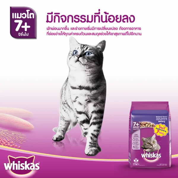 Whiskas วิสกัส อาหารเพื่อสุขภาพและคุณค่าทางโภชนาการสำหรับแมวและลูกแมว 450g-3Kg image 2 Whiskas วิสกัส อาหารเพื่อสุขภาพและคุณค่าทางโภชนาการสำหรับแมวและลูกแมว 450g-3Kg image 2