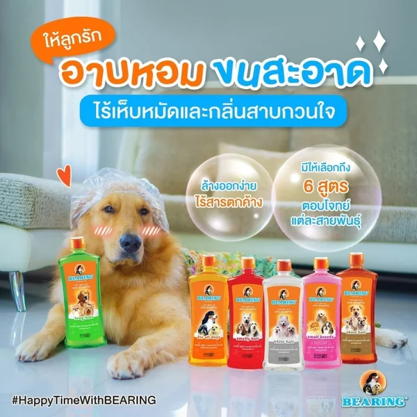 BEARING แชมพูกำจัดเห็บหมัดสุนัข แชมพูอาบน้ำสุนัข ขจัดกลิ่นสาบ ป้องกันเห็บ หมัด 3000ml/3800ml image 3 BEARING แชมพูกำจัดเห็บหมัดสุนัข แชมพูอาบน้ำสุนัข ขจัดกลิ่นสาบ ป้องกันเห็บ หมัด 3000ml/3800ml image 3