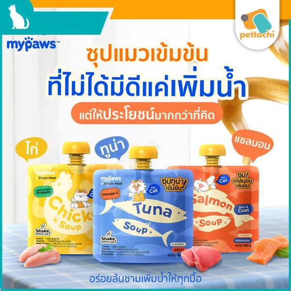 My Paws Single Meat ซุปแมวเข้มข้น 100g สำหรับแมวกินน้ำน้อย My Paws Single Meat ซุปแมวเข้มข้น 100g สำหรับแมวกินน้ำน้อย
