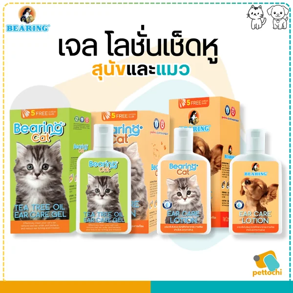 Bearing Ear แบริ่งเจล/โลชั่นทำความสะอาดหู สำลีพันไม้ สุนัขและแมว 100ml ไม่ระคายเคือง image 2 Bearing Ear แบริ่งเจล/โลชั่นทำความสะอาดหู สำลีพันไม้ สุนัขและแมว 100ml ไม่ระคายเคือง image 2