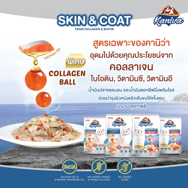 [ยกโหล] Kaniva คานิว่า อาหารเปียกแมว 70g x 12 ซอง ไม่เติมเกลือ ปราศจากกลูเตน image 9