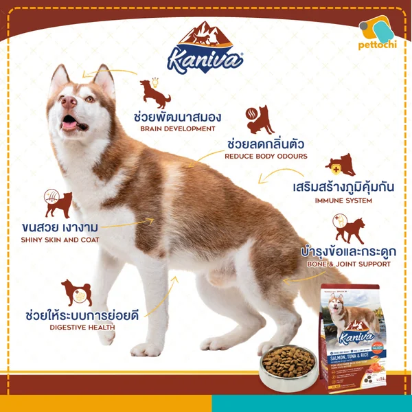 Kaniva คานิว่า อาหารสุนัขเกรดพรีเมี่ยม ที่มีโภชนาการครบถ้วน ขนาด 1.4KG-3.2KG image 4 Kaniva คานิว่า อาหารสุนัขเกรดพรีเมี่ยม ที่มีโภชนาการครบถ้วน ขนาด 1.4KG-3.2KG image 4