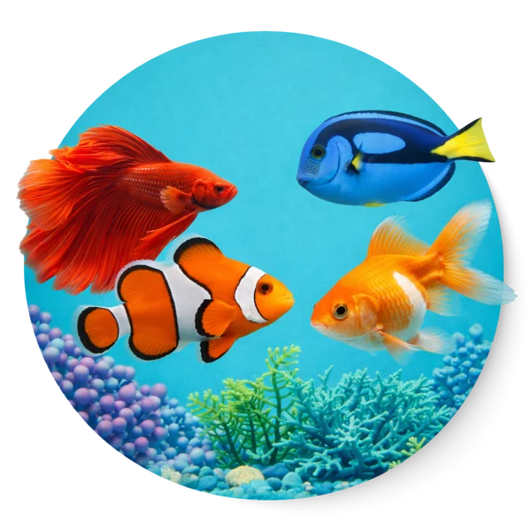 Pettochi FISH อาหารปลา