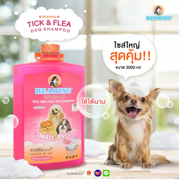 BEARING แชมพูกำจัดเห็บหมัดสุนัข แชมพูอาบน้ำสุนัข ขจัดกลิ่นสาบ ป้องกันเห็บ หมัด 3000ml/3800ml image 5 BEARING แชมพูกำจัดเห็บหมัดสุนัข แชมพูอาบน้ำสุนัข ขจัดกลิ่นสาบ ป้องกันเห็บ หมัด 3000ml/3800ml image 5