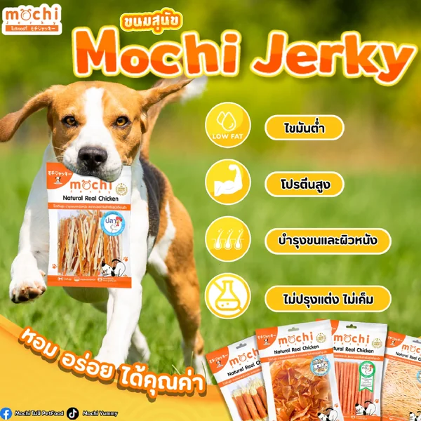 Mochi Jerky โมชิ ขนมสุนัข ขนมแมว ปลาเส้น เนื้อไก่อบแห้ง ไม่เติมเกลือ ขนาด 150-300g image 2 Mochi Jerky โมชิ ขนมสุนัข ขนมแมว ปลาเส้น เนื้อไก่อบแห้ง ไม่เติมเกลือ ขนาด 150-300g image 2